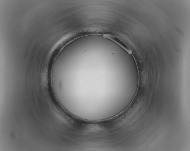 X0000114130392200910221509