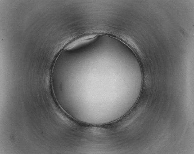 X0000114130393200910221509