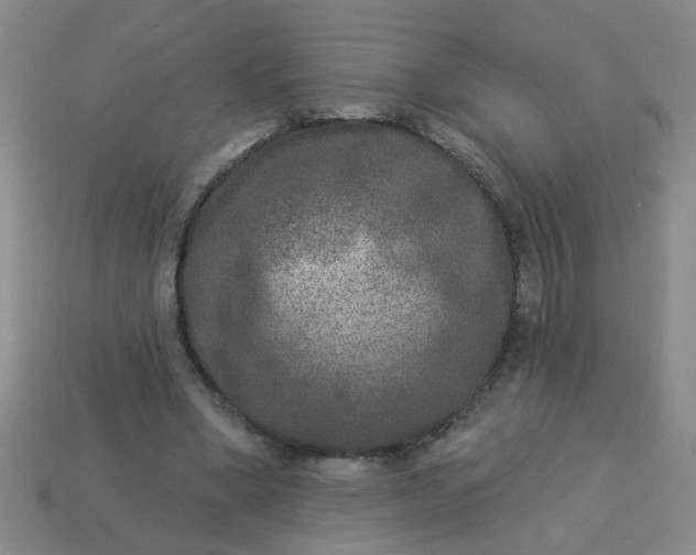 X0000114130394200910221509