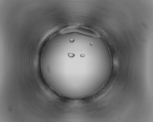 X0000114130396200910221509