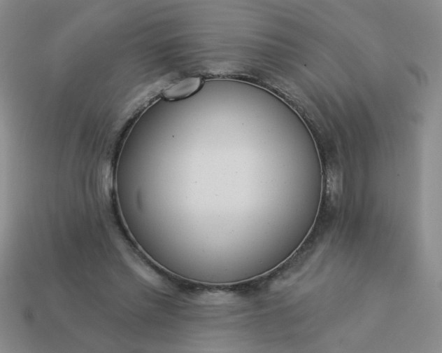 X0000114130397200910221509