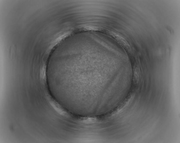 X0000114130398200910221509