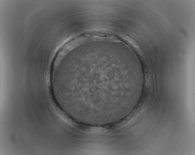 X0000114130399200910221509