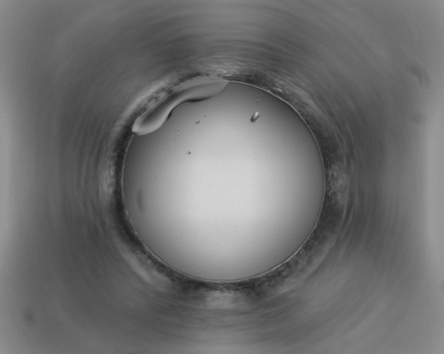 X0000114130400200910221509