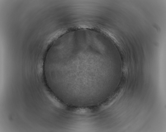 X0000114130402200910221508