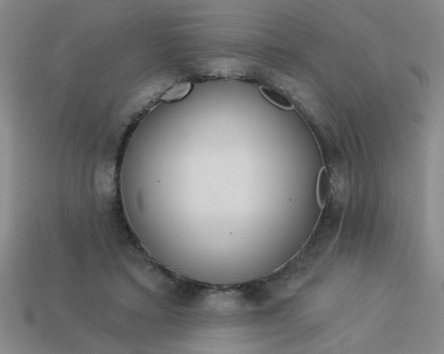 X0000114130403200910221508