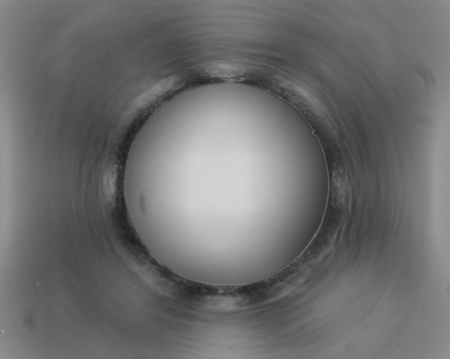 X0000114130404200910221508