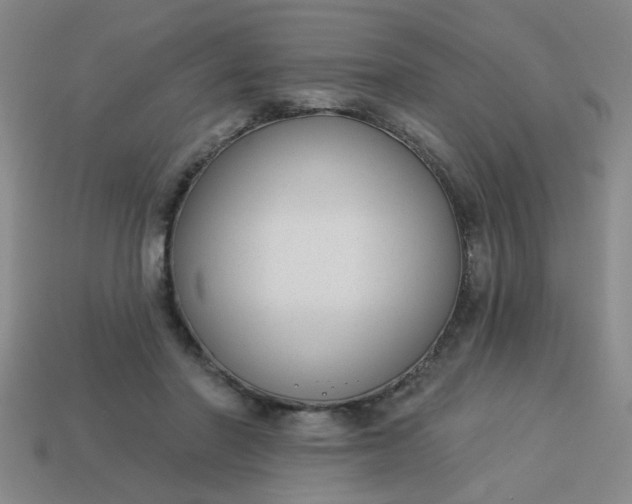 X0000114130406200910221508