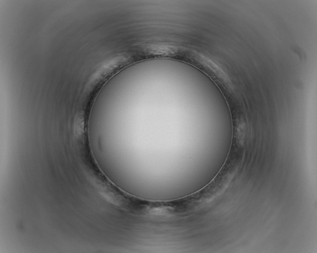 X0000114130407200910221508