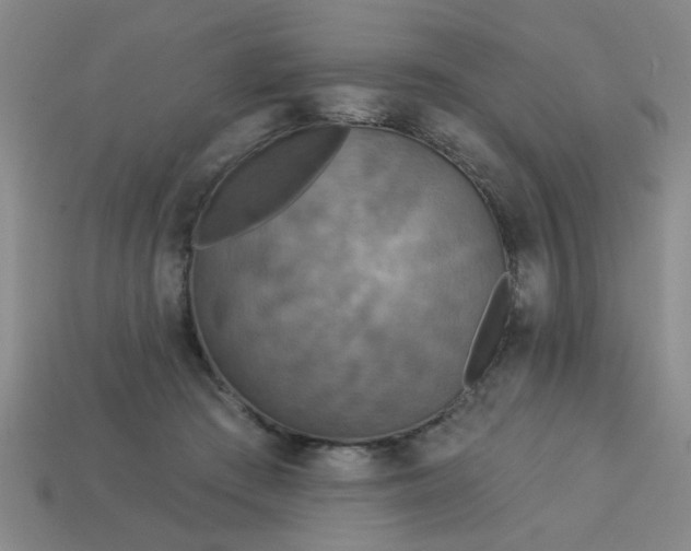 X0000114130409200910221508