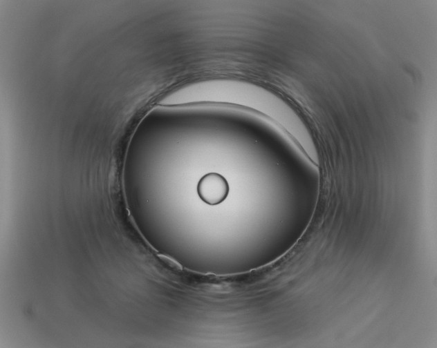 X0000114130411200910221508