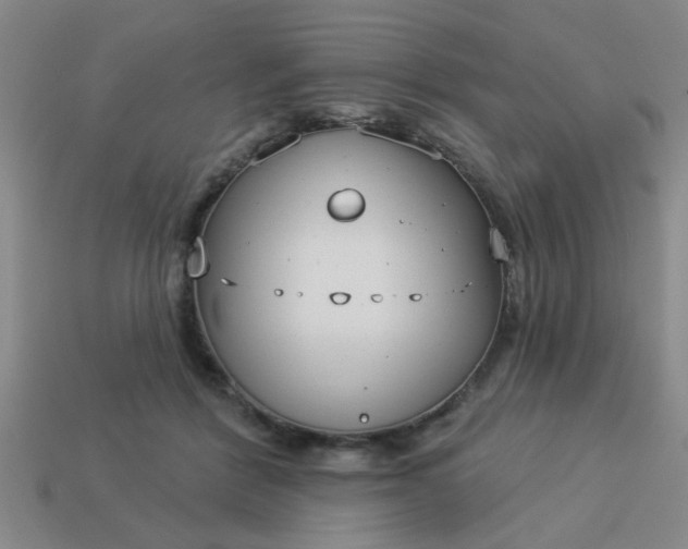 X0000114130412200910221508