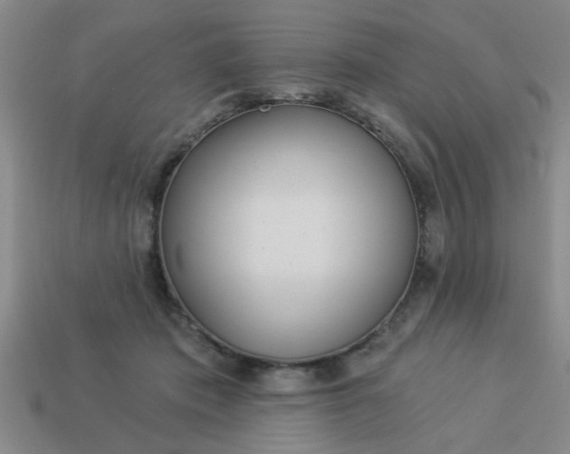 X0000114130413200910221508