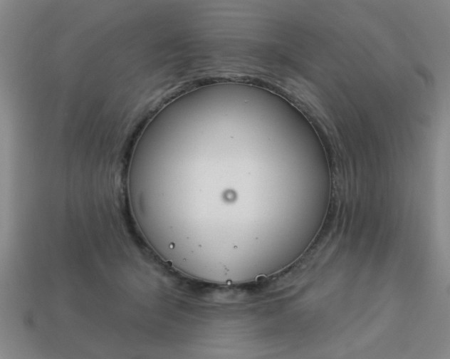 X0000114130415200910221508