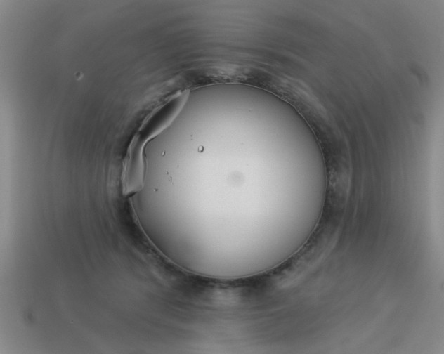 X0000114130416200910221508