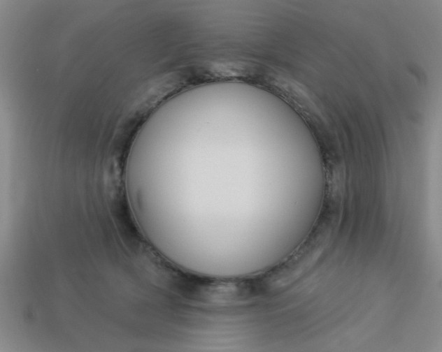 X0000114130418200910221508