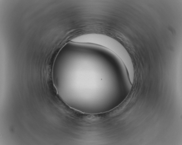 X0000114130421200910221508