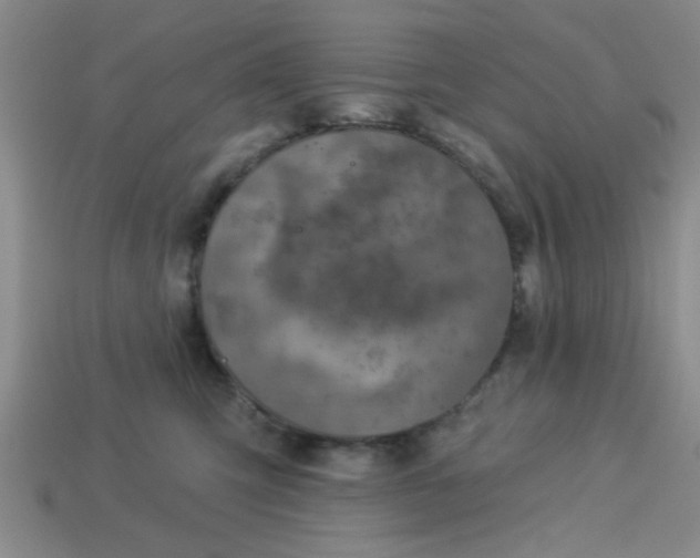 X0000114130423200910221508