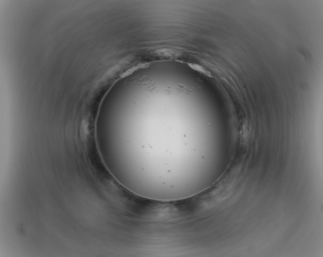 X0000114130424200910221508