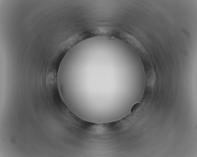 X0000114130425200910221508