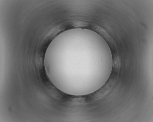 X0000114130426200910221508