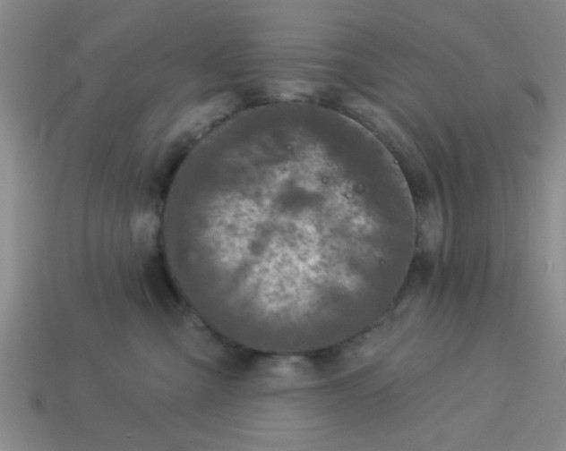 X0000114130427200910221508