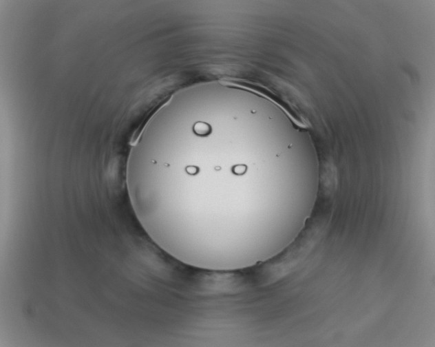 X0000114130428200910221508