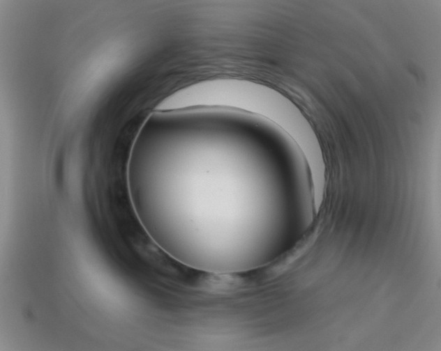 X0000114130429200910221508