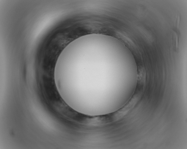 X0000114130430200910221508