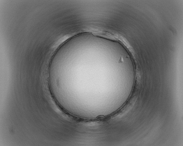 X0000114130433200910221508