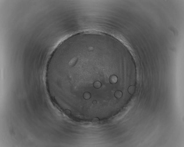 X0000114130434200910221508