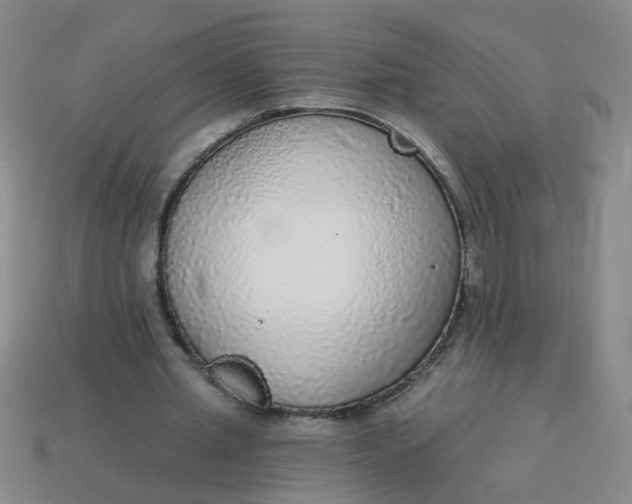 X0000114130437200910221508