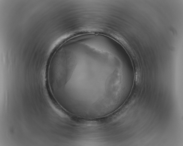 X0000114130438200910221508