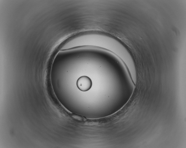 X0000114130440200910221508