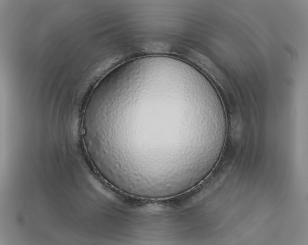 X0000114130441200910221508