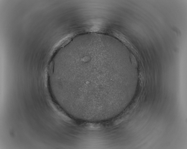 X0000114130442200910221508