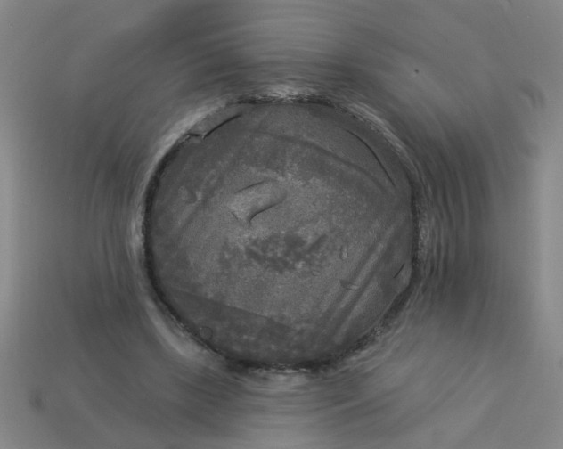 X0000114130443200910221508