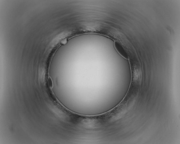 X0000114130444200910221508