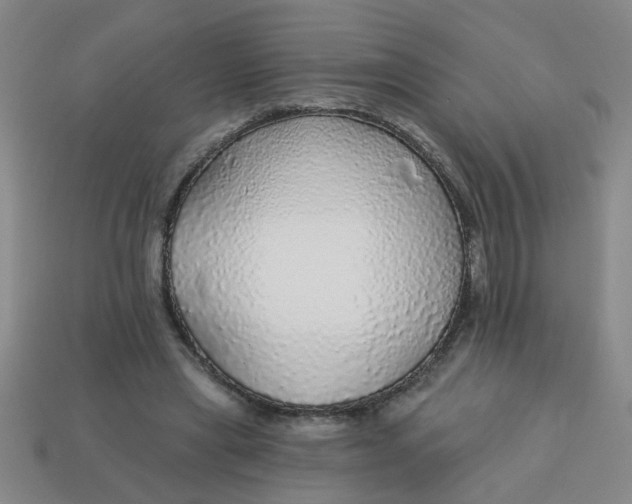 X0000114130445200910221508