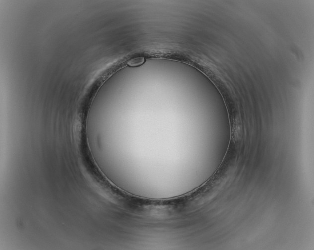 X0000114130448200910221508