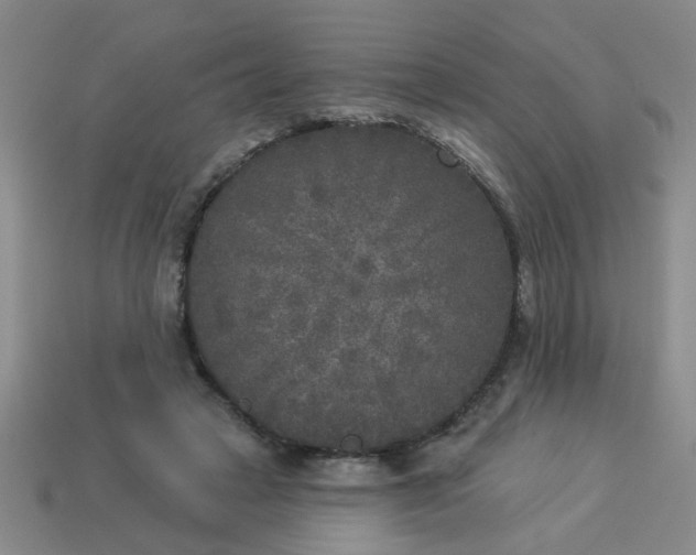 X0000114130449200910221508