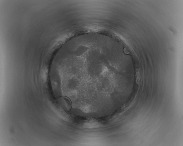 X0000114130451200910221508