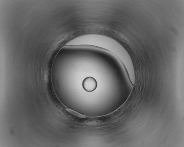 X0000114130452200910221508