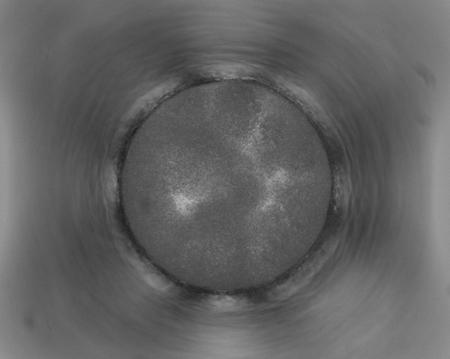 X0000114130453200910221508