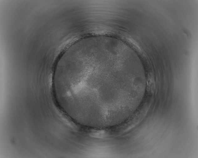 X0000114130454200910221508