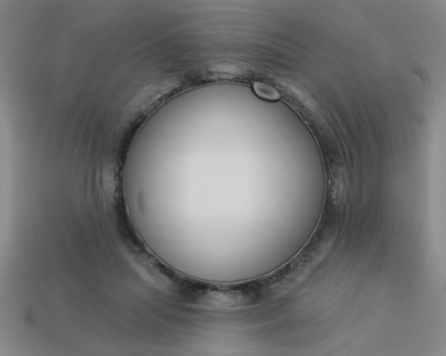 X0000114130455200910221508