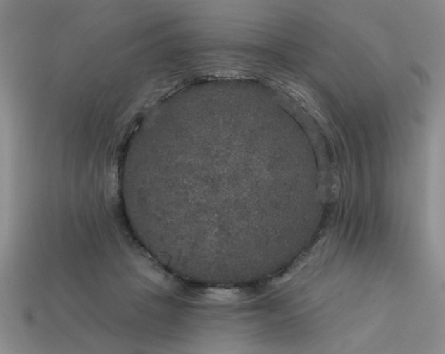 X0000114130457200910221508