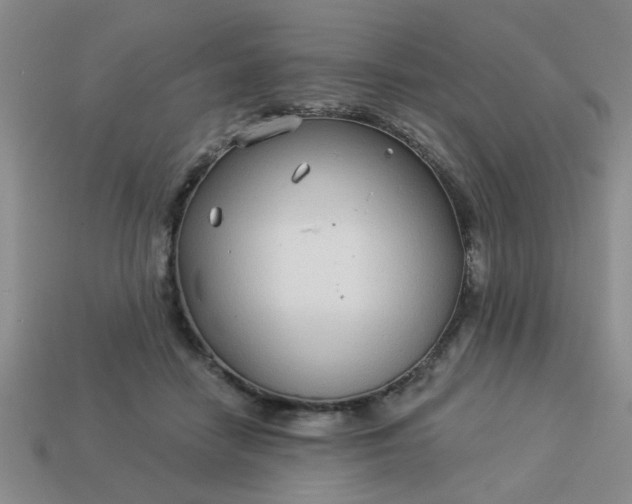 X0000114130458200910221508