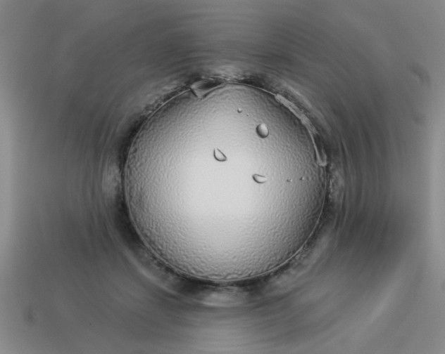 X0000114130459200910221508