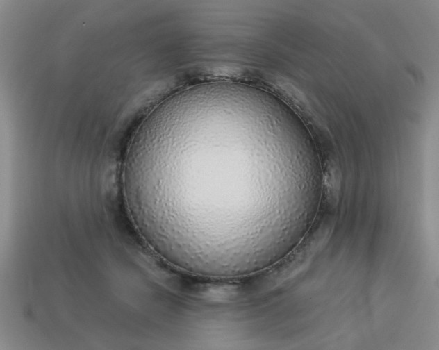 X0000114130462200910221508